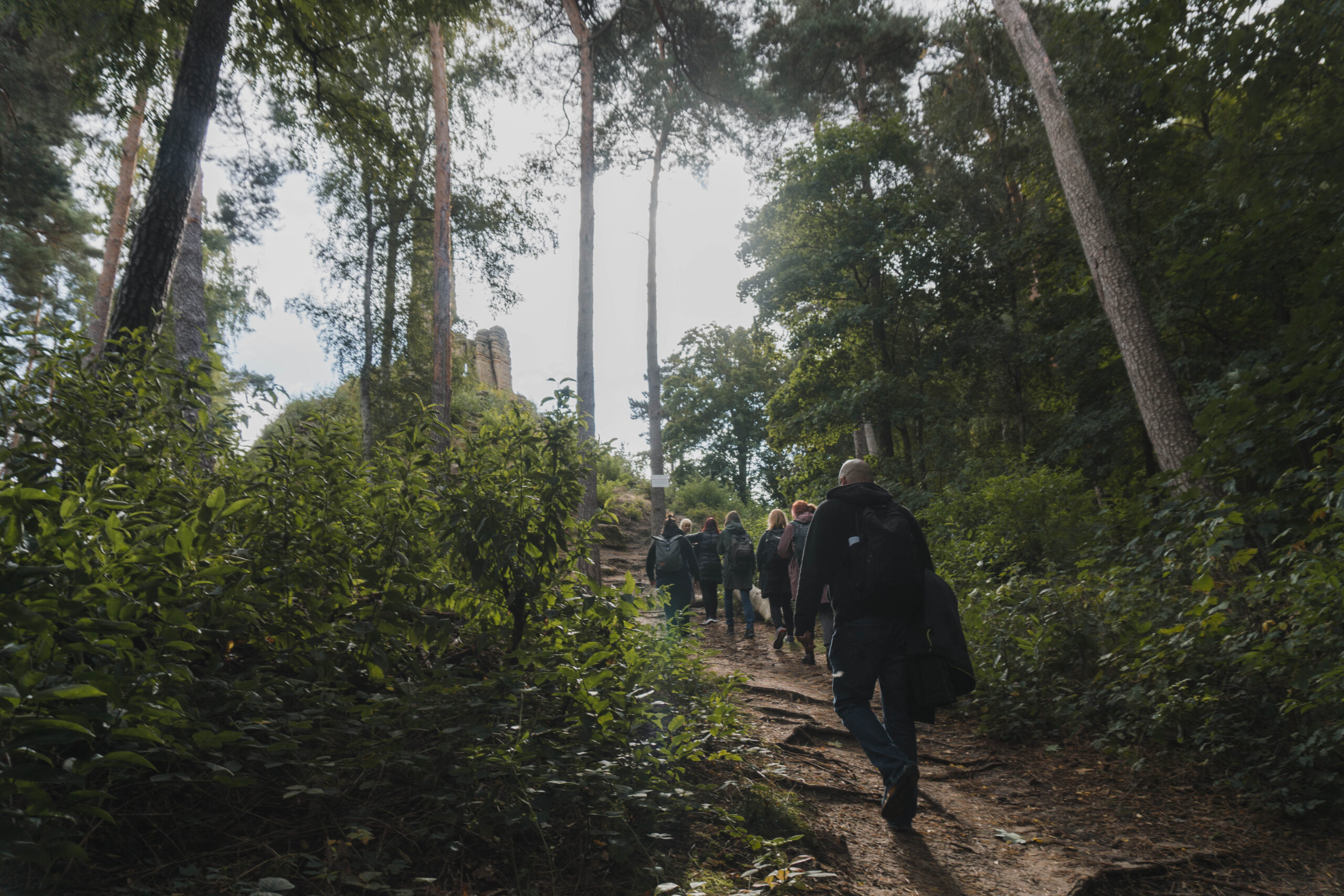 grupomontaña2 (1 de 1)